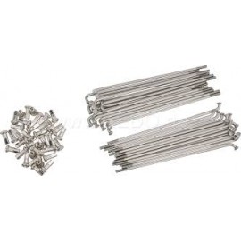 Jeu de 36 rayons INOX avant  Fantic 240/300
